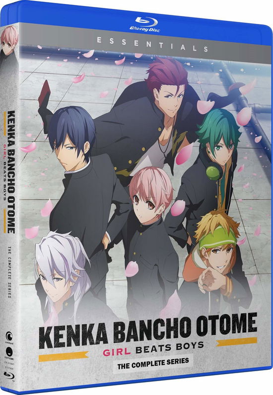 Kenka Bancho Otome: Girls Beats Boys: the Complete Series - Blu-ray - Movies - FOREIGN, ROMANCE, ACTION, ANIMATION, ANI - 0704400018473 - August 13, 2019