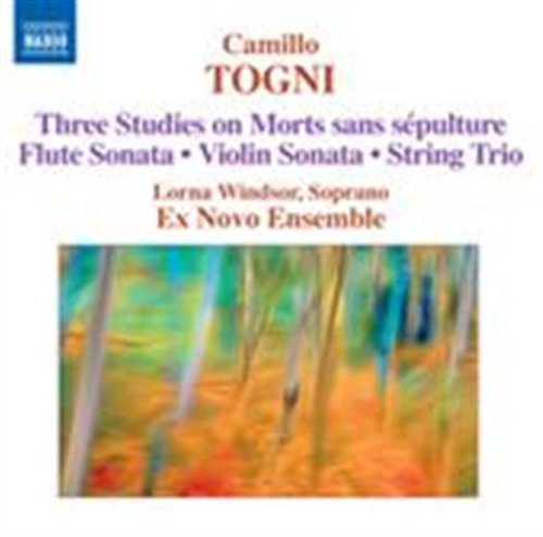 Three Studies on Mort Sans Sepulture / Flute - Togni / Windsor / Ex Novo Ensemble - Música - NAXOS - 0747313207473 - 24 de fevereiro de 2009