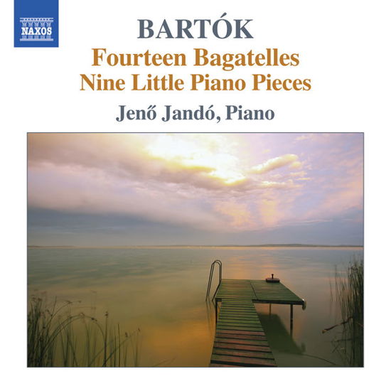 Fourteen Bagatelles - B. Bartok - Musik - NAXOS - 0747313322473 - 1 april 2014