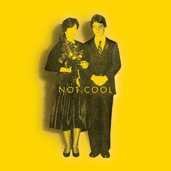 Not Cool - Tim Easton - Musik - BLACK MESA - 0850017238473 - 15. december 2023