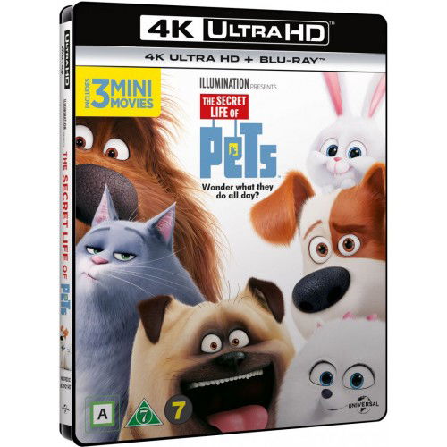 Cover for Kæledyrenes Hemmelige Liv · The Secret Life of Pets (4K UHD + Blu-ray) (2016)