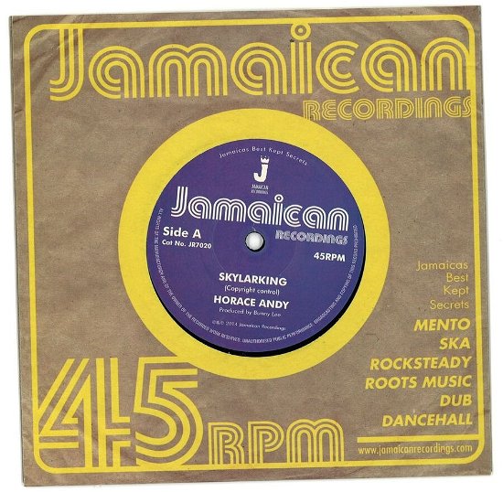 Skylarking / Version - Horace Andy - Musikk - JAMAICAN RECORDINGS - 5060135763473 - 18. august 2023