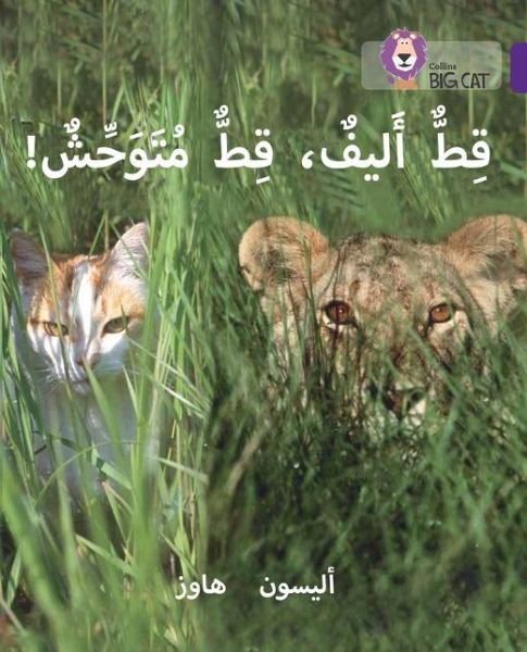Cover for Alison Hawes · Tame Cat, Wild Cat: Level 8 - Collins Big Cat Arabic Reading Programme (Paperback Book) (2016)