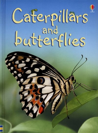 Caterpillars and Butterflies - Beginners - Stephanie Turnbull - Books - Usborne Publishing Ltd - 9780746074473 - June 30, 2006