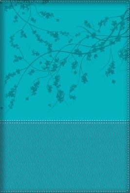Cover for Elizabeth George · Biblia de la Mujer Conforme Al Corazon de Dios (Läderbok) (2016)