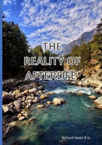 Cover for Richard Owen · The Reality Of Afterlife (Pocketbok) (2021)