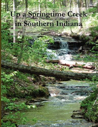 Cover for Barb Wood · Up a Springtime Creek in Southern Indiana (Paperback Book) (2009)