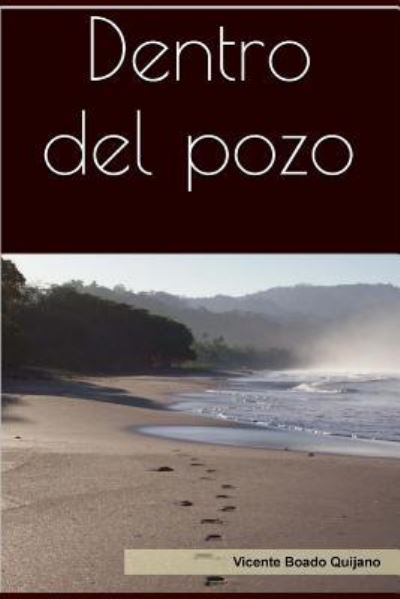 Cover for Vicente Boado Quijano · Dentro del pozo (Paperback Book) (2015)