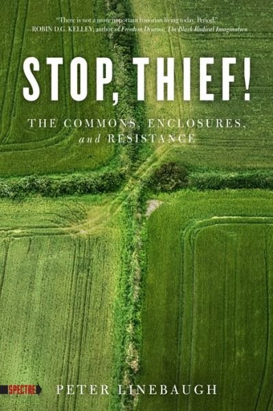 Cover for Peter Linebaugh · Stop, Thief!: The Commons, Enclosures, And Resistance (Pocketbok) (2014)