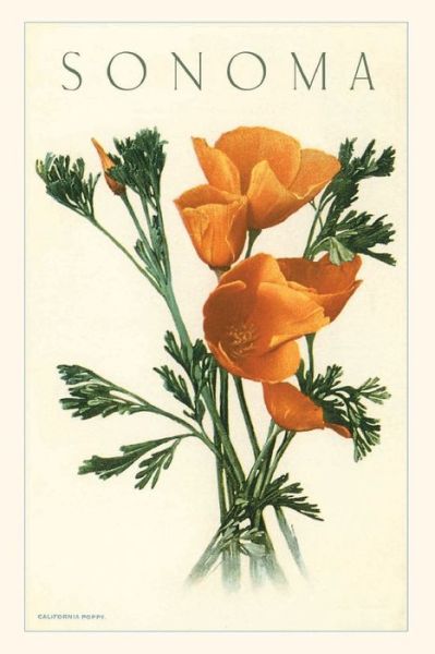 Cover for Found Image Press · Vintage Journal California Poppies, Sonoma (Book) (2022)