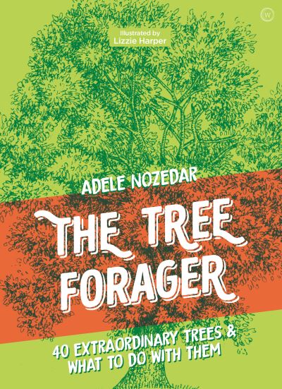 Cover for Adele Nozedar · The Tree Forager: 40 Extraordinary Trees &amp; What to Do with Them (Gebundenes Buch) [0 New edition] (2021)