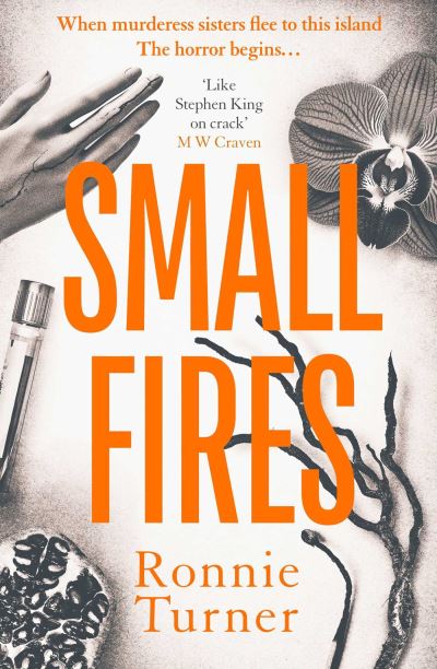 Cover for Ronnie Turner · Small Fires: This year's most unsettling, hypnotic contemporary gothic thriller (Paperback Book) (2025)