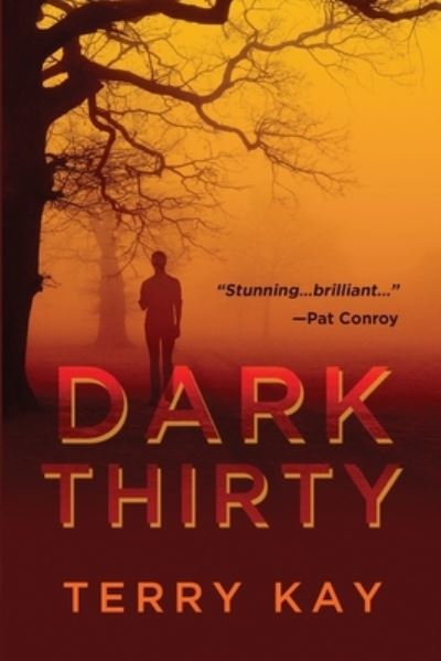 Cover for Terry Kay · Dark Thirty (Paperback Book) (2021)