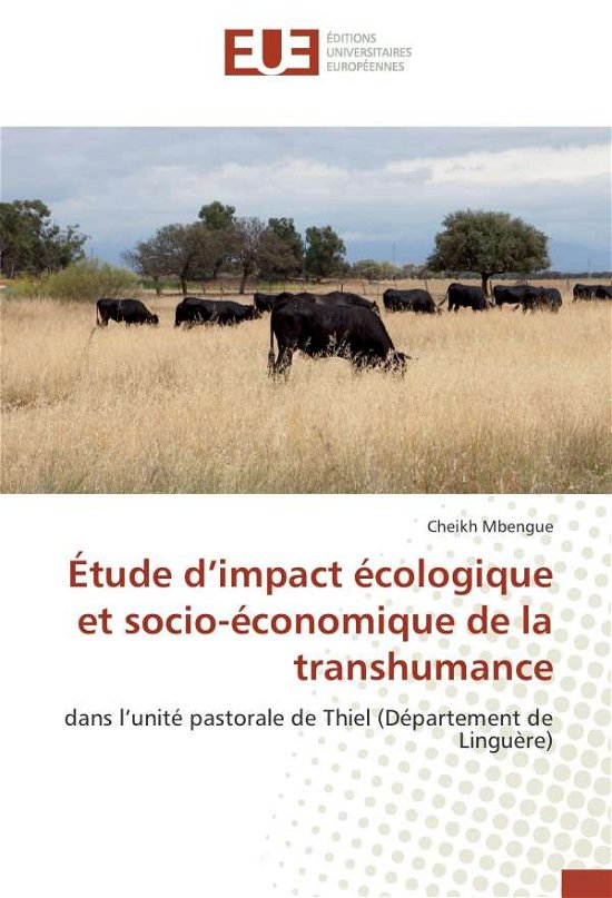 Cover for Mbengue · Étude d'impact écologique et so (Book)