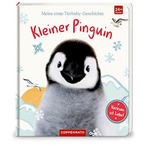 Cover for Amanda Wood · Meine erste Tierbaby-Geschichte: Kleiner Pinguin (Board book) (2021)