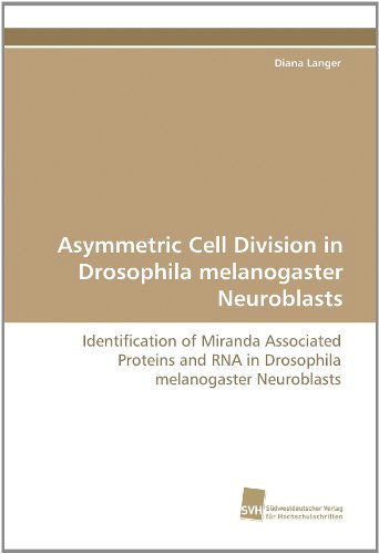 Cover for Diana Langer · Asymmetric Cell Division in Drosophila Melanogaster Neuroblasts: Identification of Miranda Associated Proteins and Rna in Drosophila Melanogaster Neuroblasts (Paperback Book) (2010)