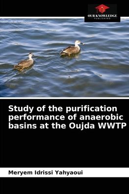 Cover for Meryem Idrissi Yahyaoui · Study of the purification performance of anaerobic basins at the Oujda WWTP (Paperback Book) (2021)