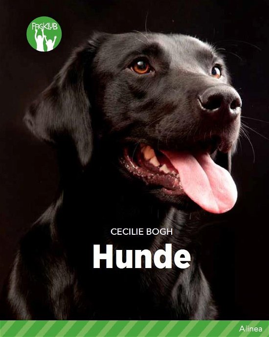 Cover for Andreas Munk Scheller · Fagklub: Hunde, Grøn Fagklub (Indbundet Bog) [1. udgave] (2018)