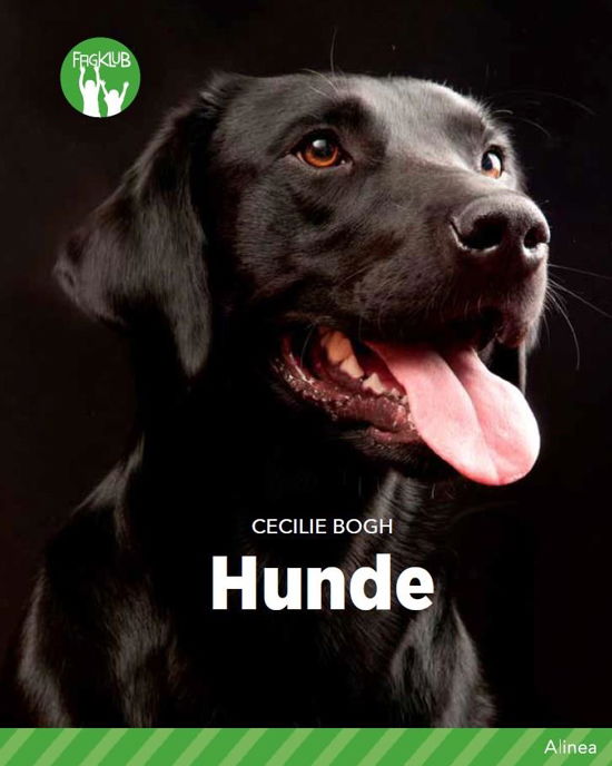 Fagklub: Hunde, Grøn Fagklub - Andreas Munk Scheller - Boeken - Alinea - 9788723529473 - 1 mei 2018