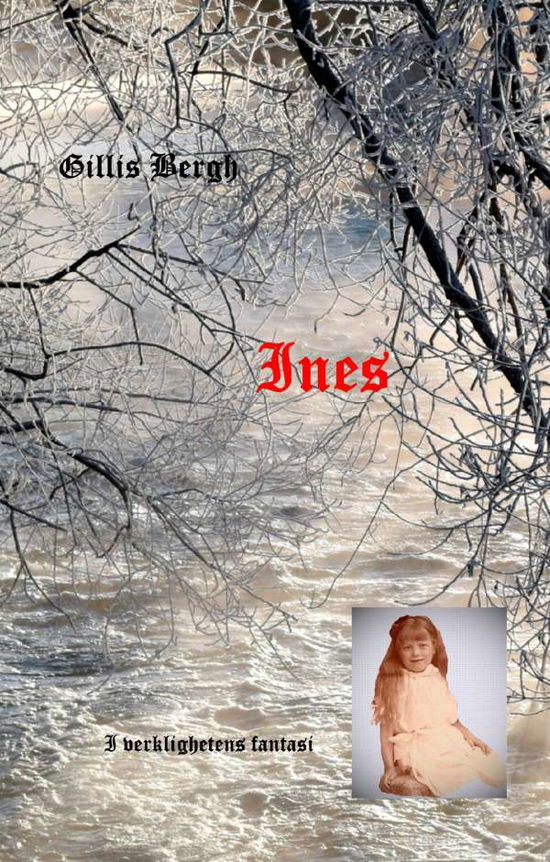 Cover for Gillis Bergh · Ines (Hardcover Book) (2017)