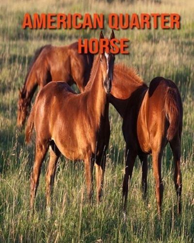 American Quarter Horse - Kayla Miller - Bücher - Independently Published - 9798693085473 - 2. Oktober 2020