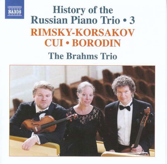 Cover for Brahms Trio · History of the Russian Piano Trio Vol.3 (CD) (2021)
