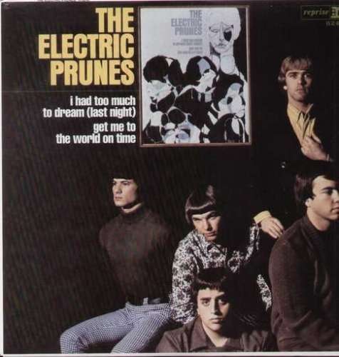 Cover for Electric Prunes · I Had Too Much to Dream (Last Night) (LP) (2005)