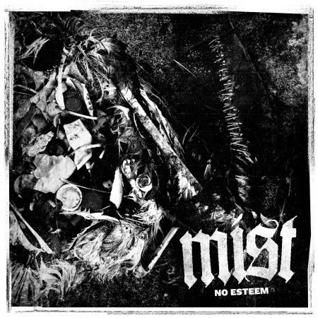 Cover for Mist · No Esteem (LP) (2024)