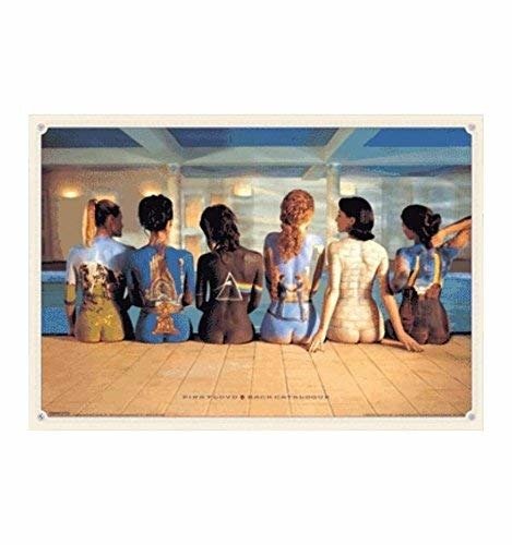 Cover for Pink Floyd · Pink Floyd - Back Catalogue (Poster Lenticolare 3D) (MERCH)