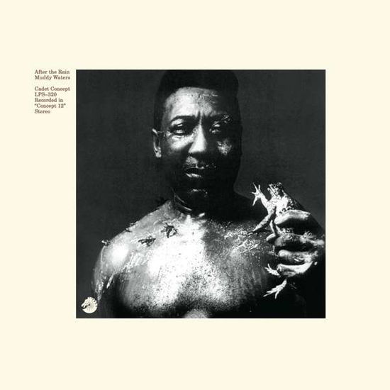 Cover for Muddy Waters · After the Rain (LP) (2016)