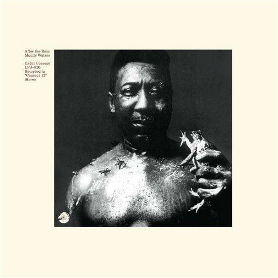 Cover for Muddy Waters · After the Rain (LP) (2016)
