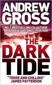 Cover for Andrew Gross · The Dark Tide (Paperback Book) (2008)