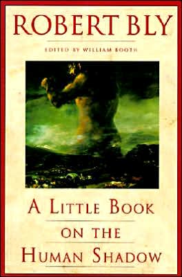 Cover for Robert Bly · A Little Book on the Human Shadow (Paperback Book) [Reissue edition] (1988)