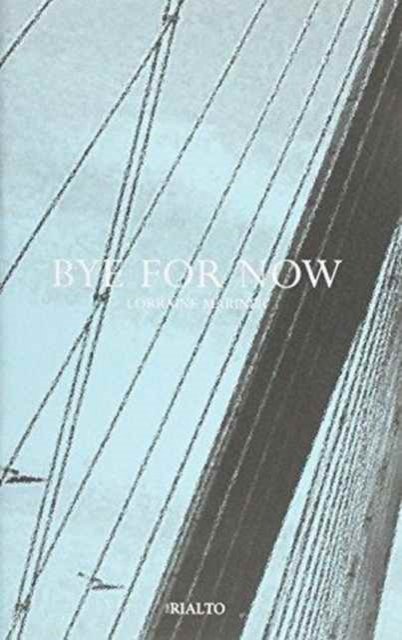 Cover for Lorraine Mariner · Bye for Now (Paperback Book) (2005)