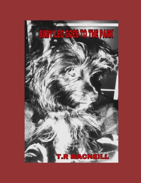 Cover for T R MacNeill · Baby Leo goes to the Park (Paperback Bog) (2019)