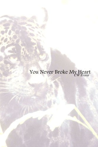 Cover for Cw Evans · You Never Broke My Heart (Pocketbok) (2014)