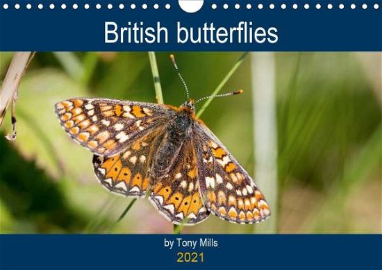 Cover for Mills · British Butterflies by Tony Mills (Book)