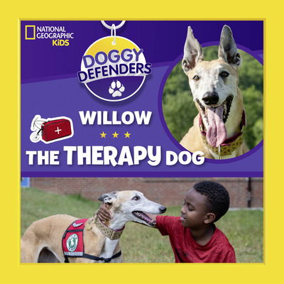 Cover for National Geographic Kids · Willow the Therapy Dog - Doggy Defenders (Hardcover Book) (2019)