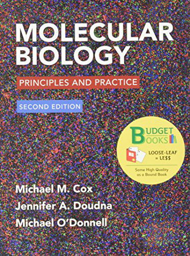 Loose-leaf Version for Molecular Biology - Michael M. Cox - Kirjat - W. H. Freeman - 9781464181474 - maanantai 16. maaliskuuta 2015