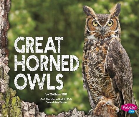 Cover for Melissa Hill · Great Horned Owls (Hardcover Book) (2015)