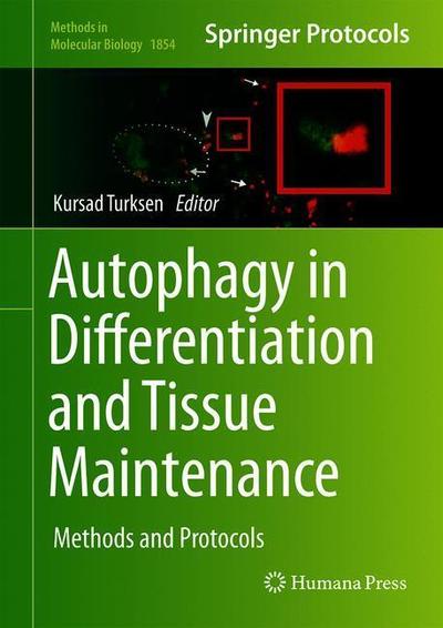 Cover for Autophagy in Differentiation and Tissue Maintenance: Methods and Protocols - Methods in Molecular Biology (Hardcover Book) [1st ed. 2019 edition] (2018)