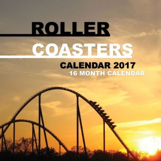 Cover for David Mann · Roller Coasters Calendar 2017 (Paperback Book)