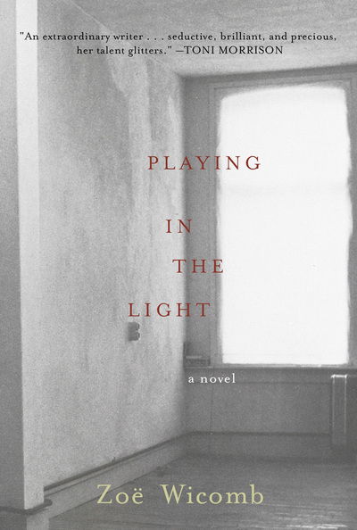 Cover for Zoe Wicomb · Playing In The Light: a novel (Hardcover Book) (2006)