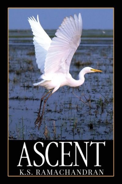 Cover for K S · Ascent (Paperback Bog) (2019)