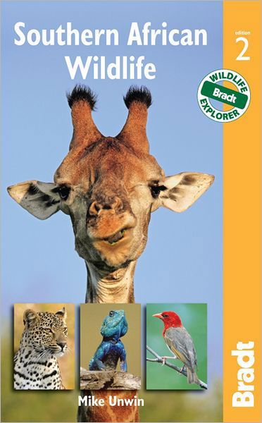 Southern African Wildlife - Bradt Travel Guides (Wildlife Guides) - Mike Unwin - Książki - Bradt Travel Guides - 9781841623474 - 4 października 2011