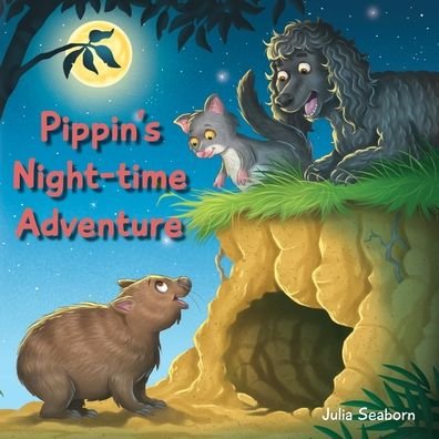 Cover for Julia Seaborn · Pippin?s Night-time Adventure (Paperback Book) (2022)
