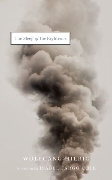 Cover for Wolfgang Hilbig · The Sleep of the Righteous (Paperback Book) (2015)