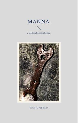 Cover for Peter R. Pollmann · Manna. (Book) (2022)