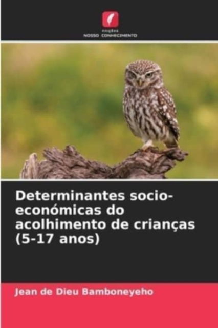 Cover for Jean de Dieu Bamboneyeho · Determinantes socio-economicas do acolhimento de criancas (5-17 anos) (Paperback Book) (2021)