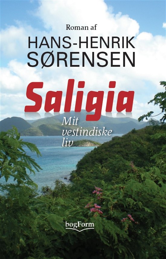 Cover for Hans-Henrik Sørensen · Saligia (Hardcover Book) [1e uitgave] (2017)